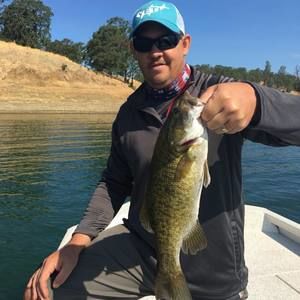 Meet your Posher, Jacques